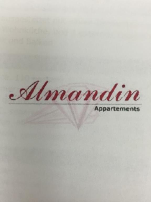 Almandin Apartments 伊施格尔 客房 照片